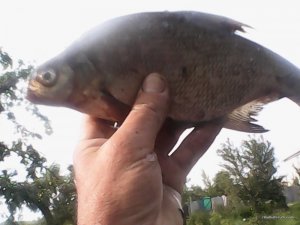 IMG_20160526_175312.jpg