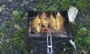 IMG_20160526_202700.jpg
