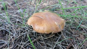 IMG_4053.JPG