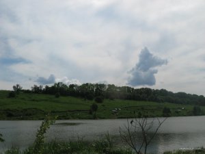 IMG_0389.JPG