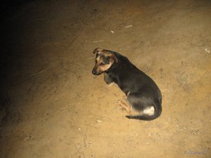 IMG_0407.JPG
