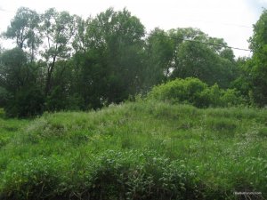IMG_0419.JPG