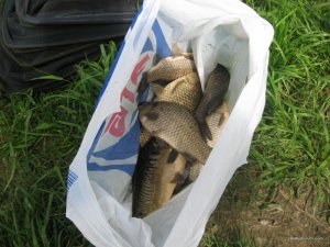 IMG_0422.JPG