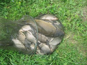 IMG_0425.JPG