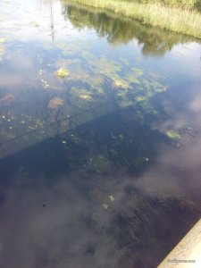 IMG_20160529_084342.jpg