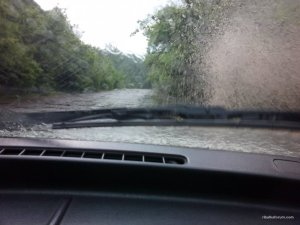 IMG_20160529_122528.jpg