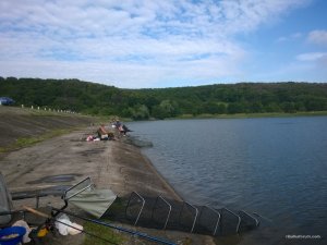 WP_20160528_08_24_02_Pro[1].jpg