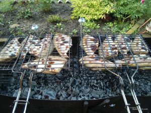 WP_20160529_16_05_44_Pro[1].jpg