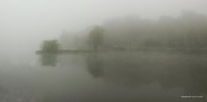 P60530-063238-01.jpeg
