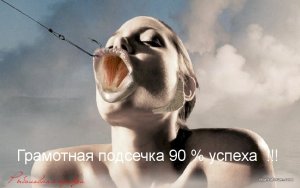 image-26.jpg