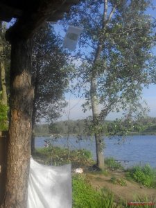 IMG_20160528_071346.jpg