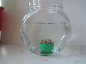 Пеллеты Слива сухие_03_1.JPG