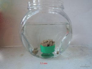 Пеллеты Слива сухие_04_1.JPG