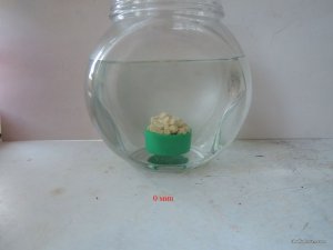 Пеллеты Кукуруза сухие_02_1.JPG