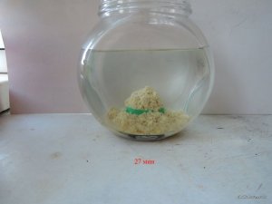 Пеллеты Кукуруза сухие_14_1.JPG