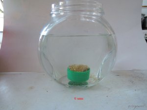 Пеллеты Слива запечатанные Ваниль со сливками_03_1.JPG