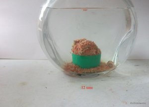 Пеллеты Слива смешанные Карп Клубника2_02_1.JPG