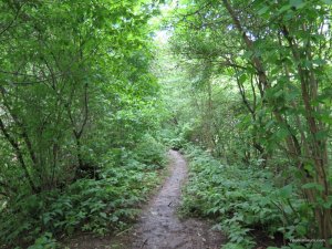IMG_8517.JPG