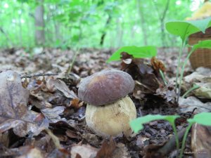 IMG_8563.JPG