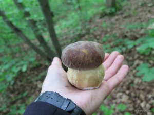 IMG_8566.JPG