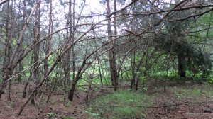 IMG_4097.JPG