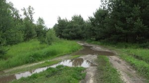 IMG_4108.JPG