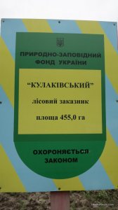 IMG_4124.JPG