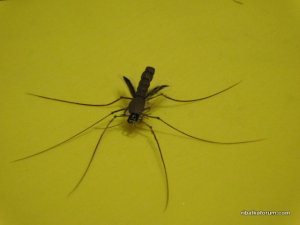 DSCN2051.JPG