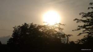 P1200317-min.JPG