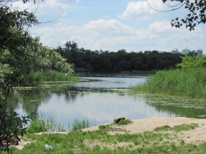 IMG_0051.JPG