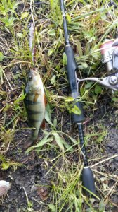 20160604_062041.jpg