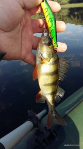 20160604_073102.jpg