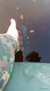 20160604_071839.jpg