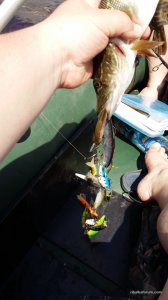 20160604_121839.jpg