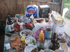 IMG_0441.JPG
