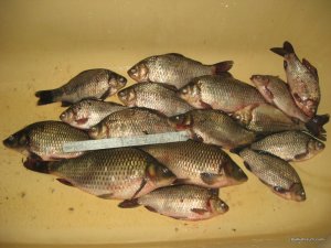 IMG_0456.JPG