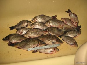 IMG_0458.JPG