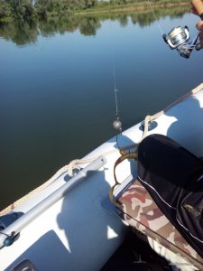 IMG_20160604_084652.jpg