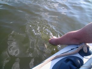 image-0.02.01.d90b9dd1903e8f0262b4c3038df9e85c59a02085fad6c6b13494dc61ea924bb9-V.jpg