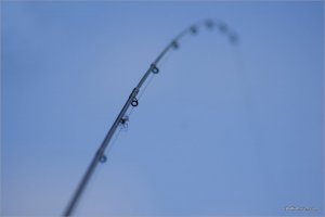 _MG_8054.jpg