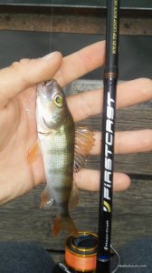 20160605_190221.jpg