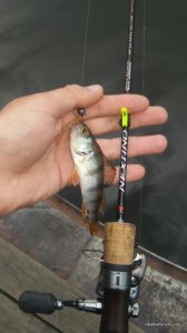 20160605_191154.jpg