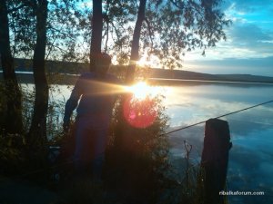 IMG_20160604_201229.jpg
