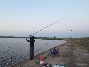 IMG_8589.JPG