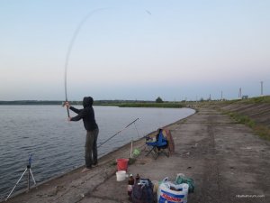 IMG_8590.JPG