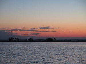 IMG_8596.JPG