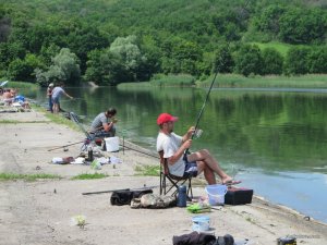 IMG_8617.JPG