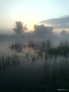 IMG_20160605_045409.jpg