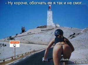 1465226334_0.jpg