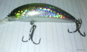 IMG_20160607_201004.jpg